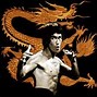 Image result for Shaolin Kung Fu Style Dragon