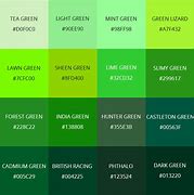 Image result for White Light On Green Color