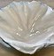 Image result for Clam Shell Art