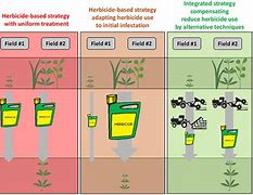 Image result for Msma Herbicide