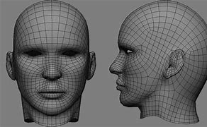 Image result for Human Face Blueprint