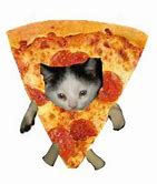 Image result for Cat Pizza Meme PFP
