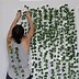 Image result for Vines Decor