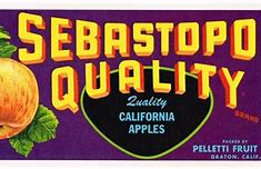 Image result for Simple Vintage Apple Fruit Logo