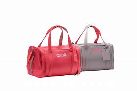 Image result for Aibo Carry Bag