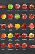 Image result for Compare and Different Apple's