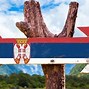 Image result for Serbian Nationalism