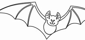 Image result for White and Black Bat Species