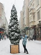 Image result for Ukraine Winter