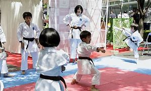 Image result for Tokyo Japan Karate