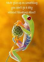 Image result for Frog Quotes