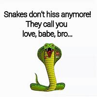 Image result for Funny Snake Quotes