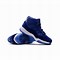 Image result for Blue and White 11s