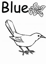 Image result for Blue Color Things Photos
