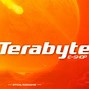 Image result for Terabyte Logo