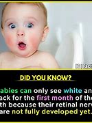 Image result for Did You Know Facts for Kids