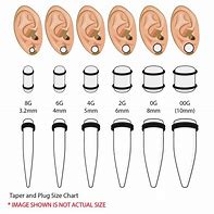 Image result for Gauge Chart Ear Stretch