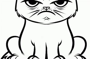 Image result for LOL Grumpy Cat