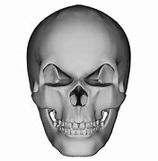 Image result for Android Skull
