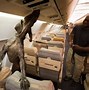 Image result for TSA dog in luggage