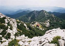 Image result for Risnjak