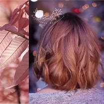 Image result for Taupe Hair Color