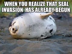 Image result for Indeed Seal Meme