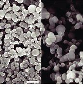 Image result for Amorphous Calcium Carbonate