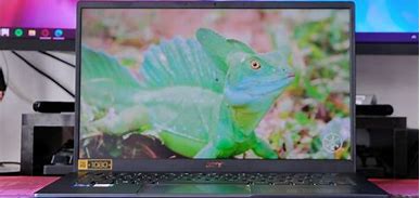 Image result for Acer Swift 17 3X Max