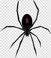 Image result for Redback Spider Cartoon