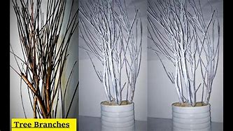 Image result for White Tree Branches