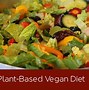 Image result for Plant-Based Vegan Diet Plans Health
