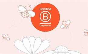 Image result for What Is a B Corporation