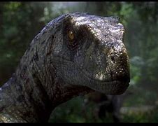 Image result for Velociraptor Jurassic Park