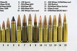 Image result for 50 BMG vs .223