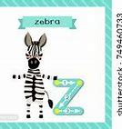 Image result for Letter Z Zebra