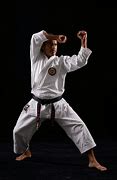 Image result for Shotokan Karate Classic Poses
