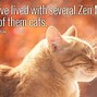 Image result for Cute Cats with Quotes