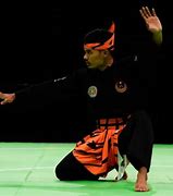 Image result for Silat