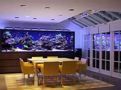 Image result for Fish Tank House