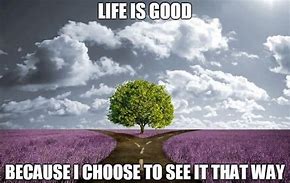 Image result for Life Is Great Meme
