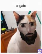 Image result for El Gato Printable Meme Cat