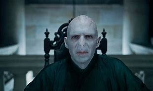 Image result for Lord Voldemort Face