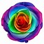 Image result for Free Rainbow Flowers