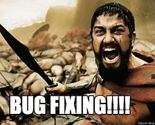 Image result for Bug Fixing Meme