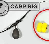 Image result for Simple Carp Fishing Rigs