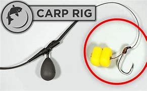 Image result for Carp Hair Rig Setup
