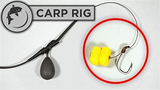 Image result for Self-Setting Carp Fishing Hooks