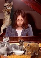 Image result for John Lennon Cat