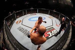 Image result for Cage Fighter